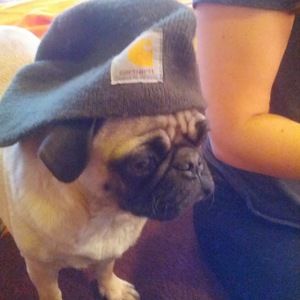 Meet your Posher, Abi